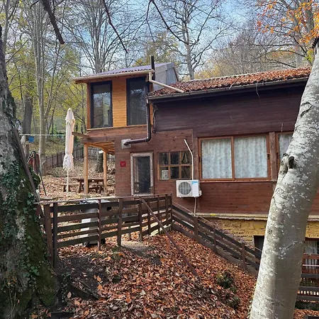 Apartment With 2 Bedrooms - Magic Woods Zaychar