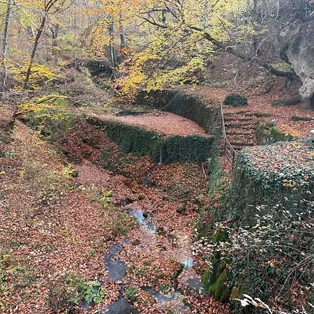 With 2 Bedrooms - Magic Woods Апартамент