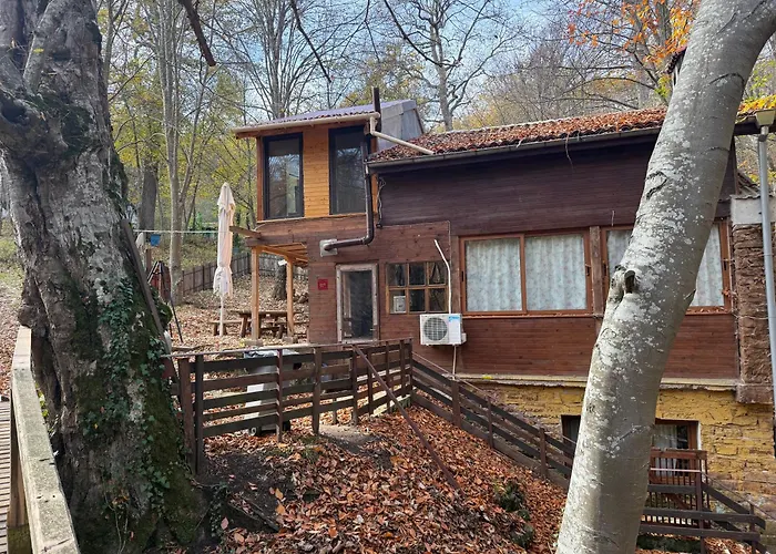 Apartmán With 2 Bedrooms - Magic Woods Zaychari