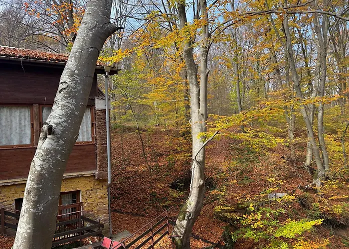 Apartmán With 2 Bedrooms - Magic Woods